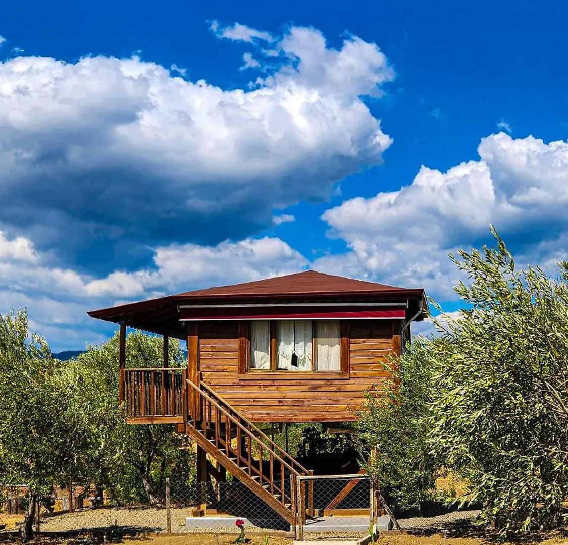 Oli Camping & Bungalows Istanboel