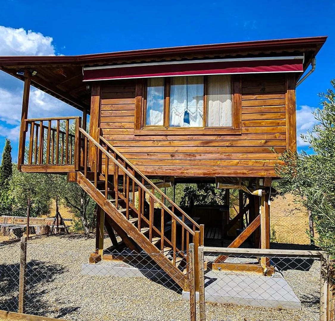 Oli Camping & Bungalows Istanboel Turkije