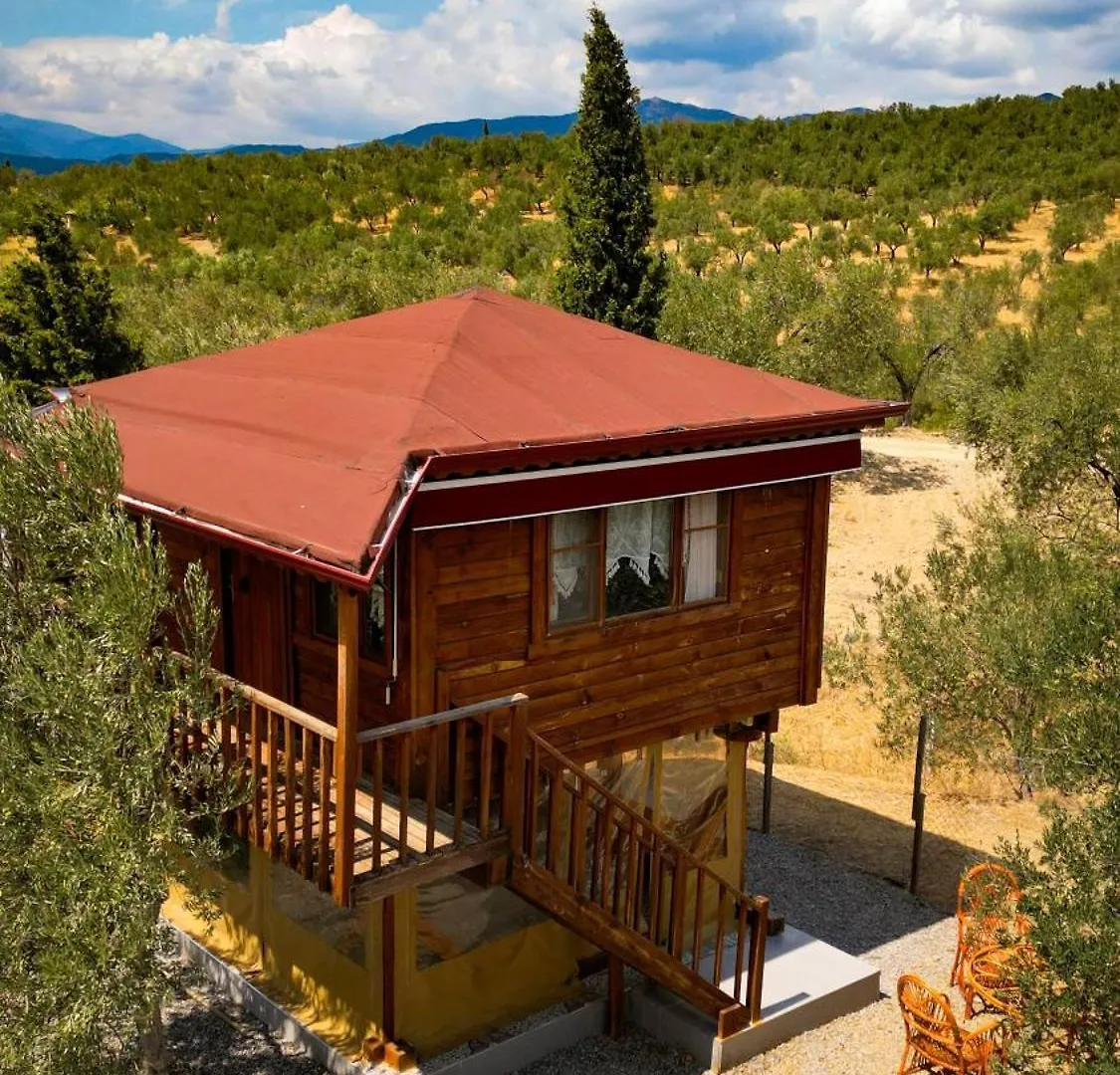 Oli Camping & Bungalows Istanboel
